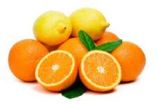 Lemons & oranges in pregnancy diet for first trimester