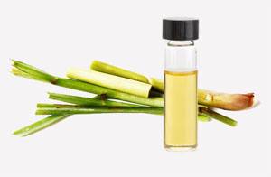 Is Lemongrass Oil Safe During Pregnancy?