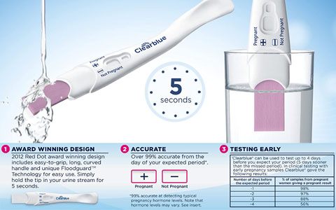 Clearblue Rapid Detection Pregnancy Test