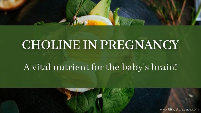 Choline in Pregnancy