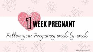 Week-By-Week Pregnancy Guide | Week 1