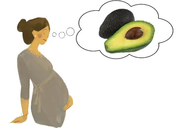 Avocado In Pregnancy