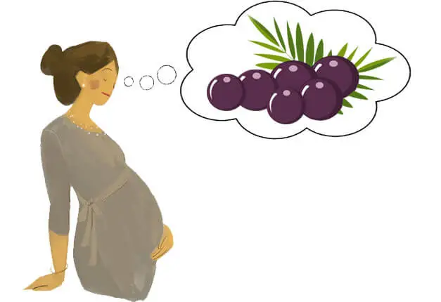 Acai Berries in Pregnancy